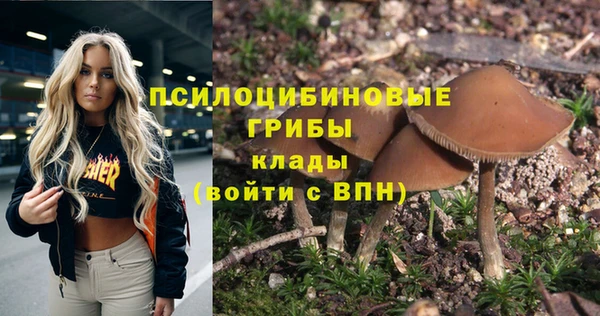 трава Абаза