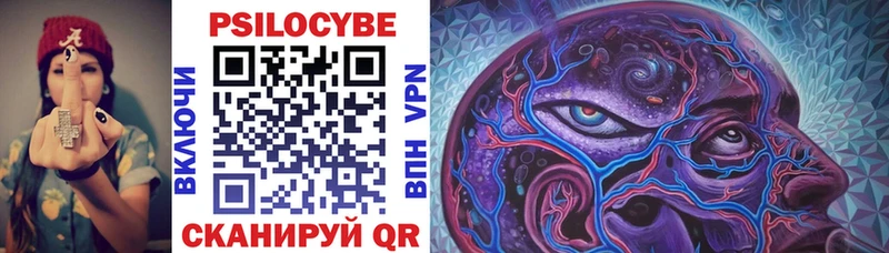 Галлюциногенные грибы Psilocybine cubensis Андреаполь