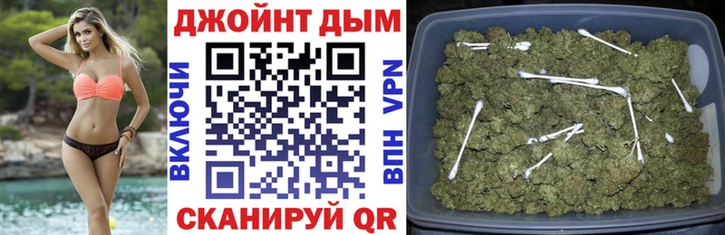 Конопля сатива  цена наркотик  Андреаполь 